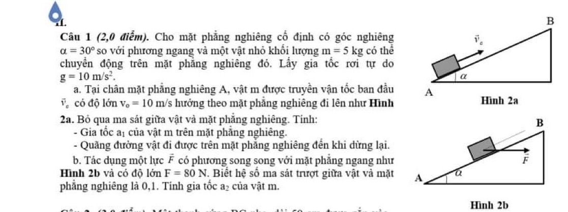 img-question