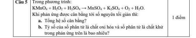 img-question
