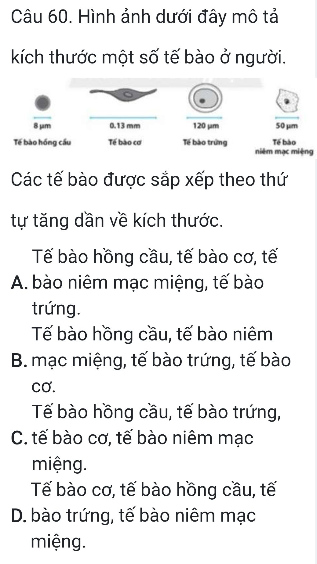 img-question