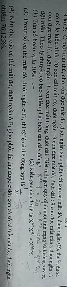img-question