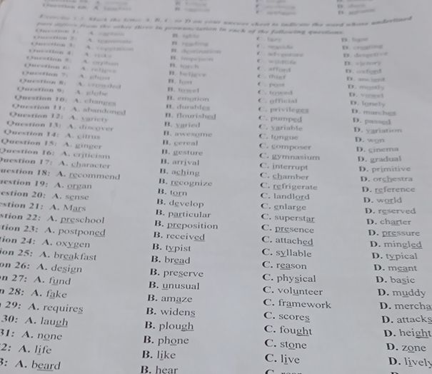 img-question-file