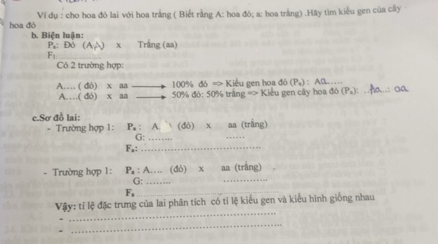 img-question-file