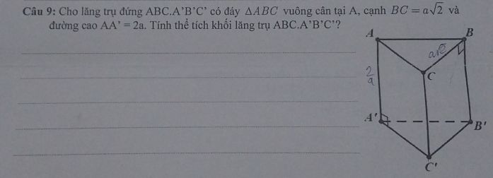 img-question-file