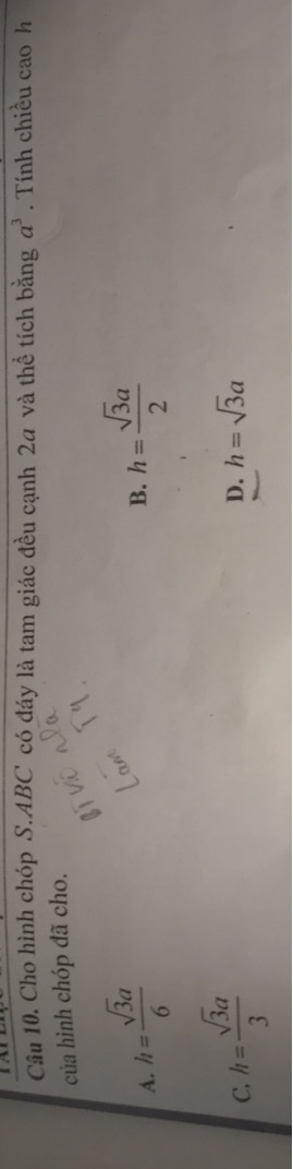 img-question-file