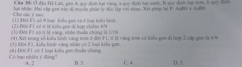 img-question-file