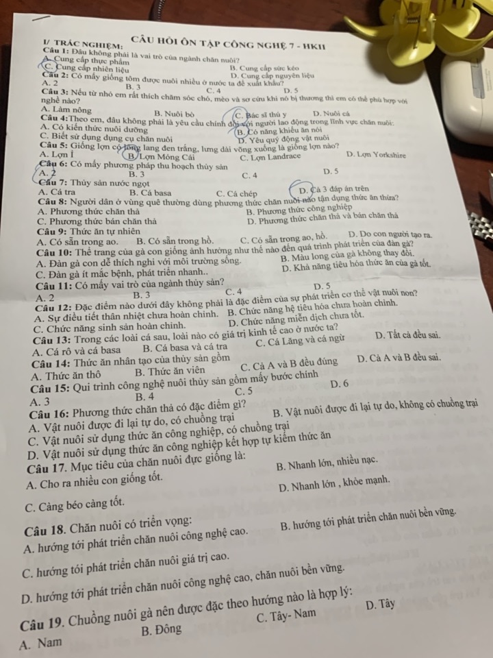 img-question-file