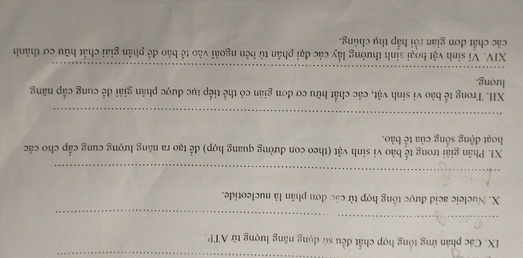 img-question-file