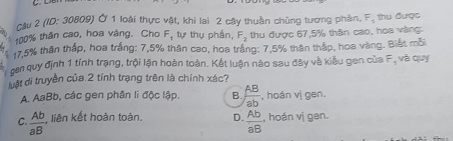 img-question-file