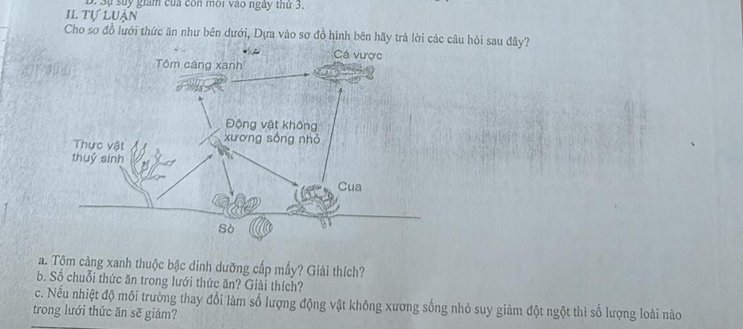 img-question-file