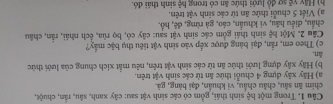img-question-file