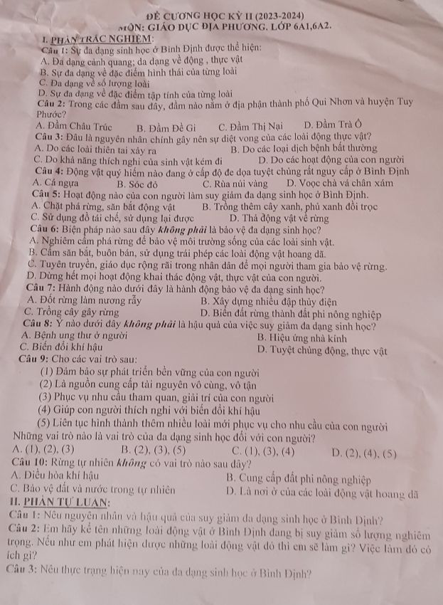 img-question-file