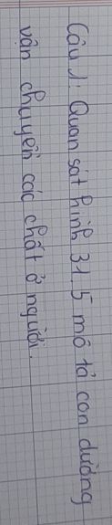 img-question-file