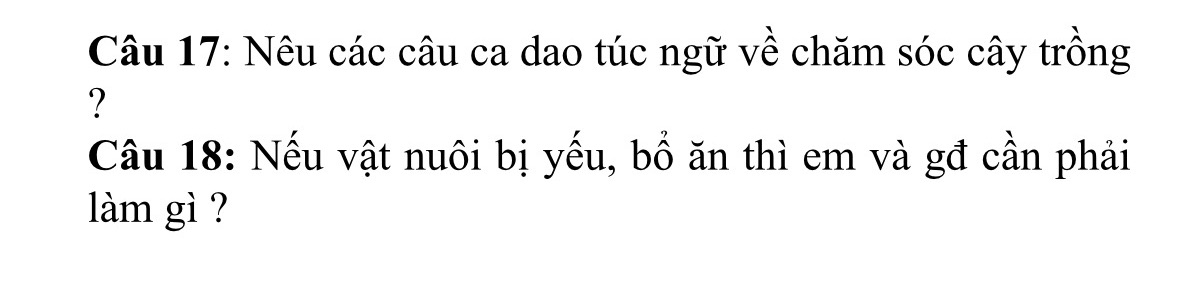 img-question-file