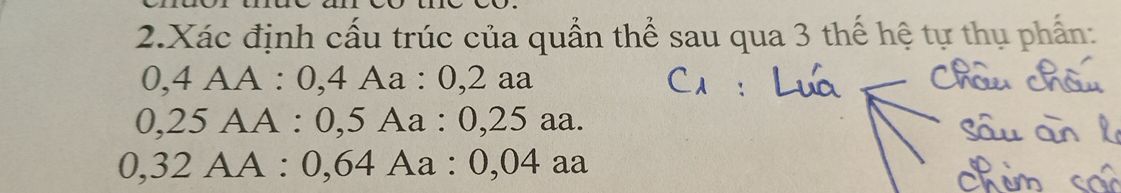 img-question-file