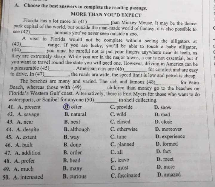 img-question-file