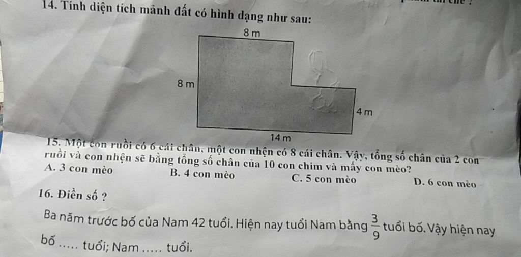img-question-file