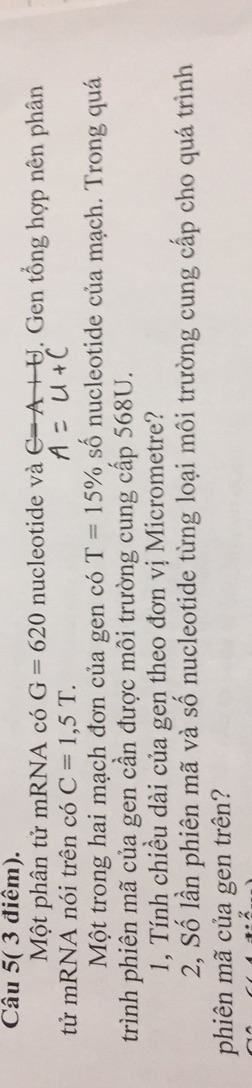 img-question-file