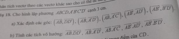 img-question-file