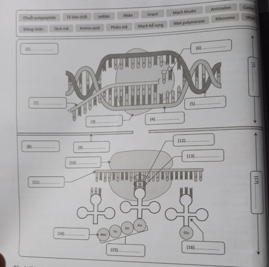 img-question-file