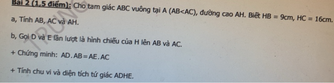 img-question-file