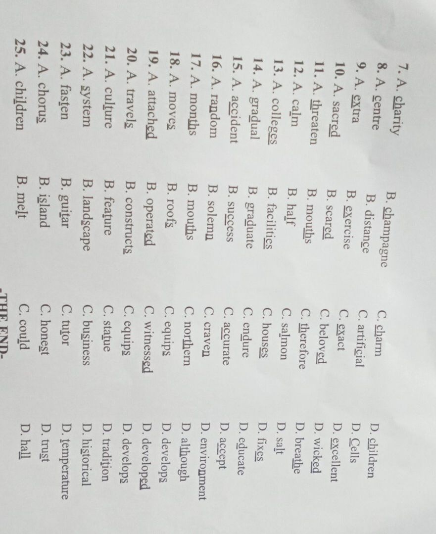 img-question-file