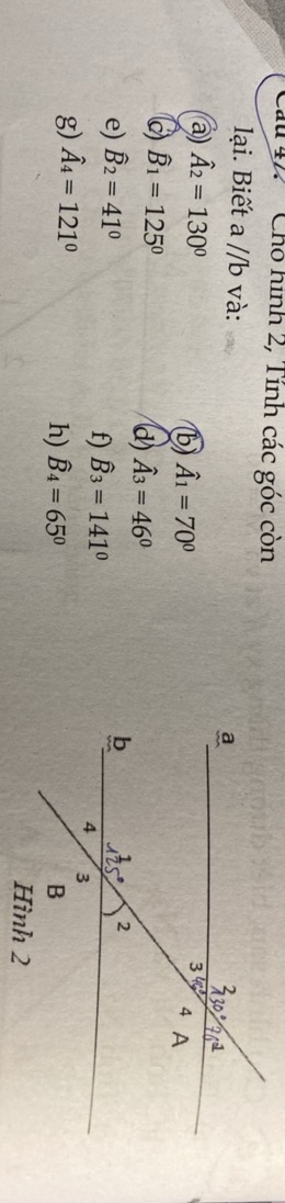 img-question-file