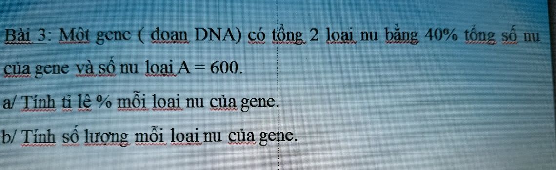 img-question-file
