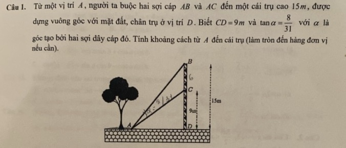 img-question-file