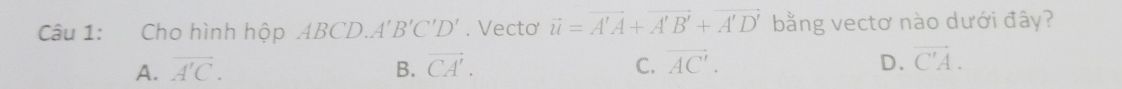 img-question-file