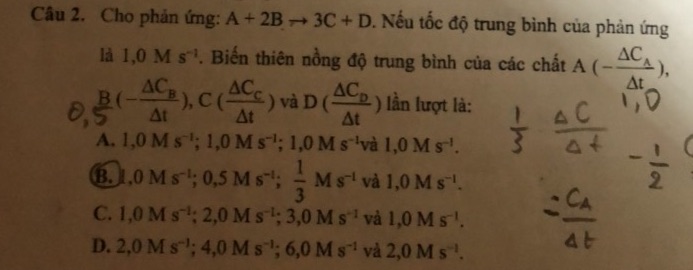 img-question-file