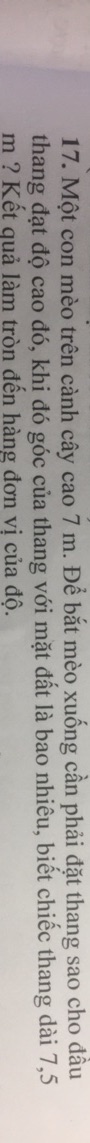 img-question-file
