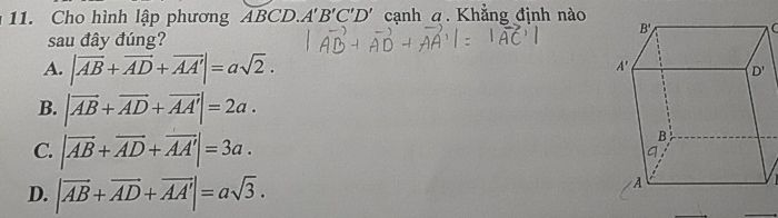 img-question-file