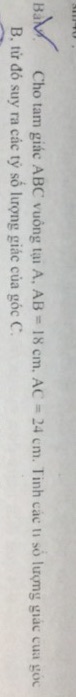img-question-file