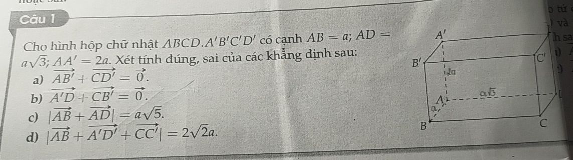 img-question-file