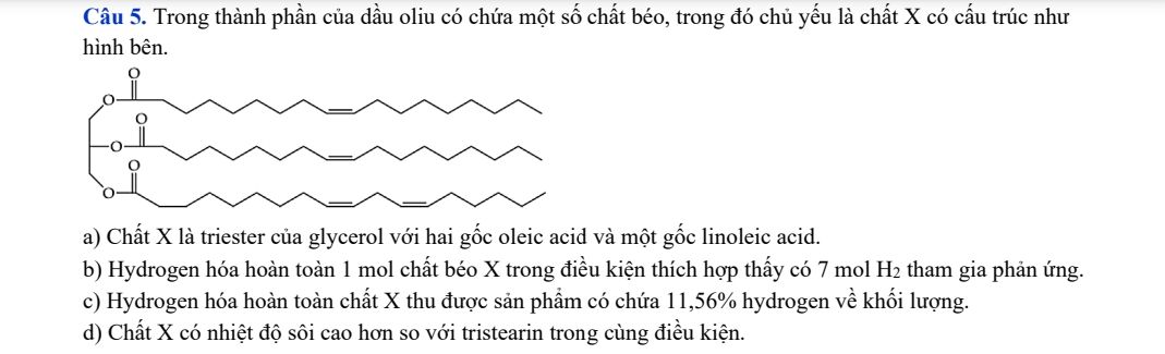 img-question-file