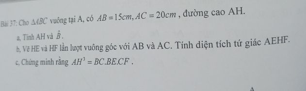 img-question-file