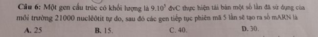 img-question-file