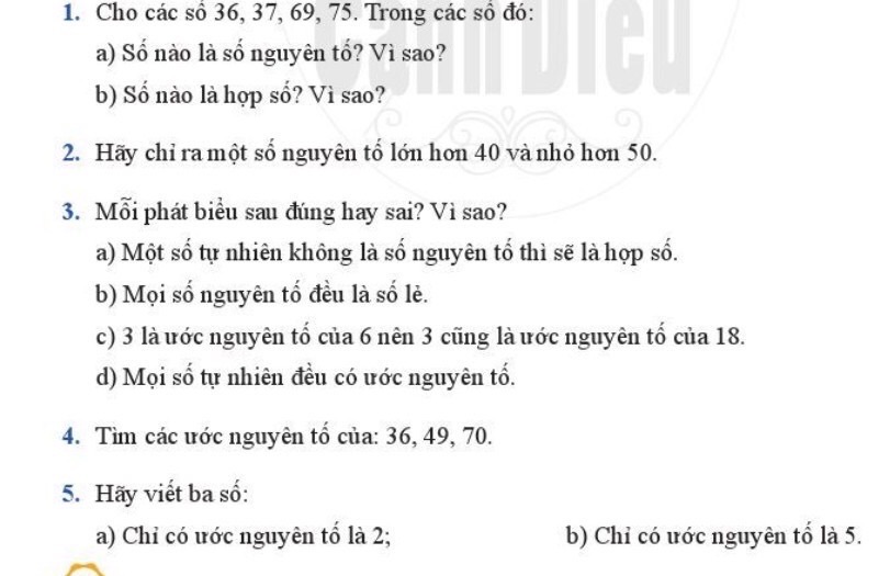 img-question-file