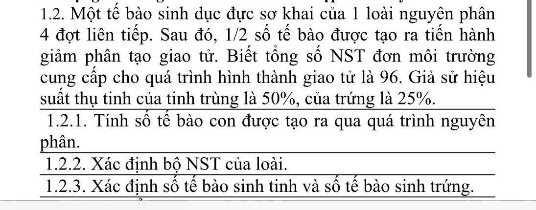 img-question-file