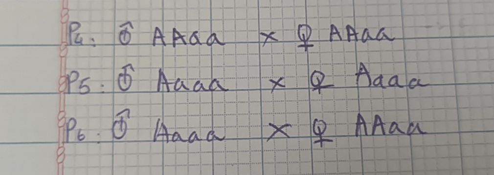 img-question-file