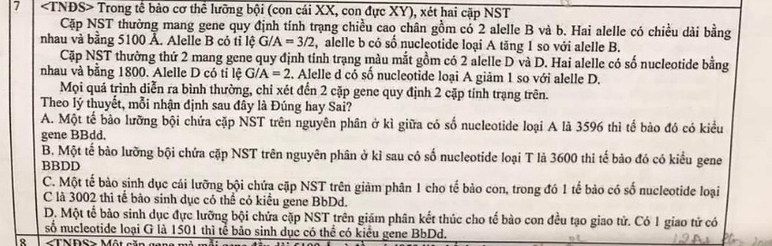 img-question-file