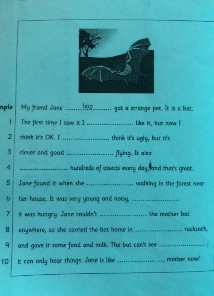img-question-file