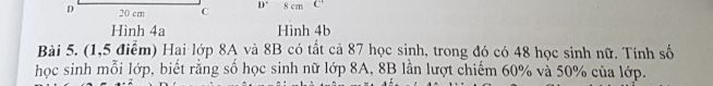 img-question-file