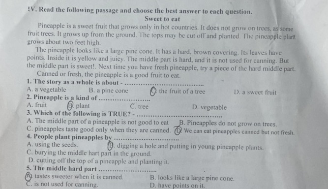 img-question-file