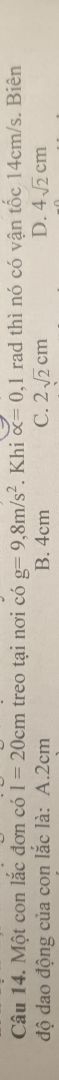 img-question-file