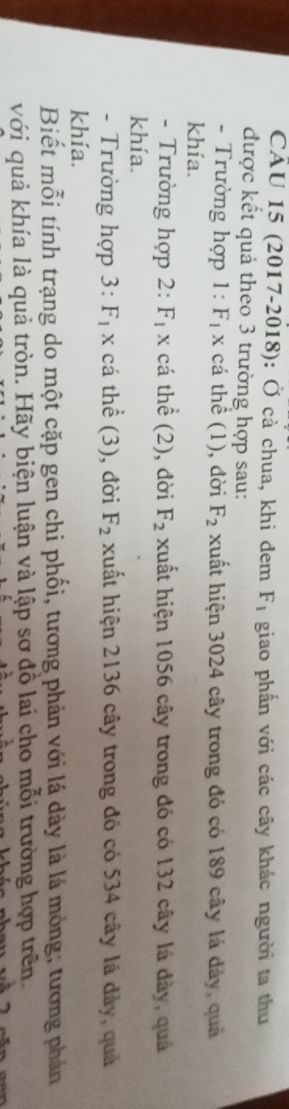 img-question-file