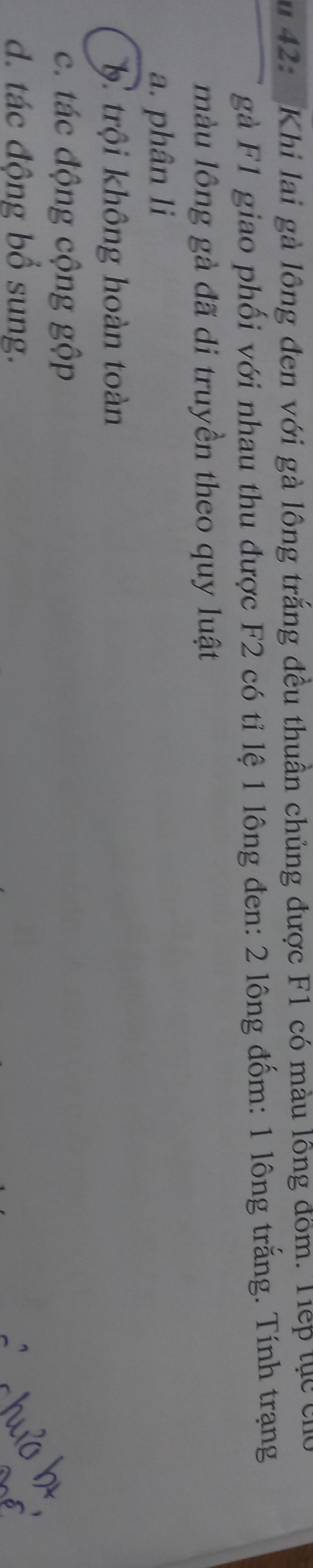 img-question-file