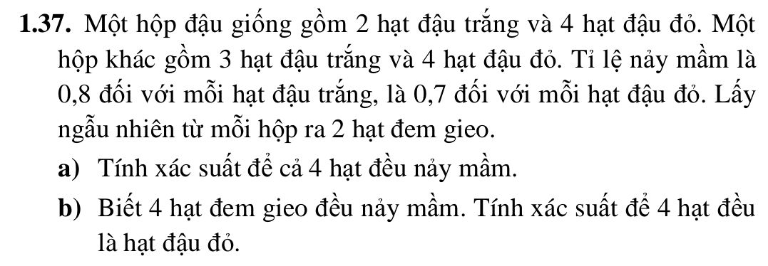 img-question-file