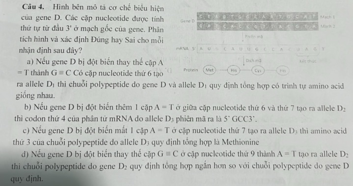img-question-file