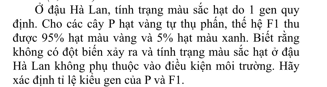 img-question-file